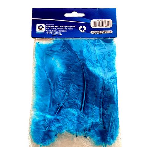 Natural Feathers Color - Blue