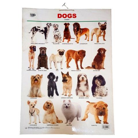 Chart 14 - Dogs
