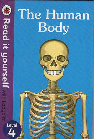 The Human Body