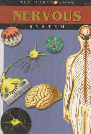 The Nervous System