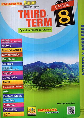 GRADE 8 THIRD TERM QUESTION PAPERS & ANSWERS