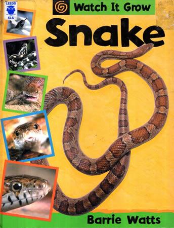 Watch It Grow Snakes