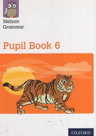 Pupil Book 6