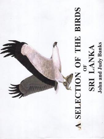 A SELECTION OF THE BIRDS OF SRI LANKA