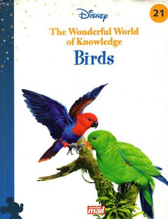 Birds