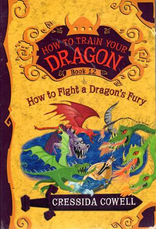 HOW TO TRAIN YOUR DRAGON - HOW TO FIGHT A DRAGON`S FURY