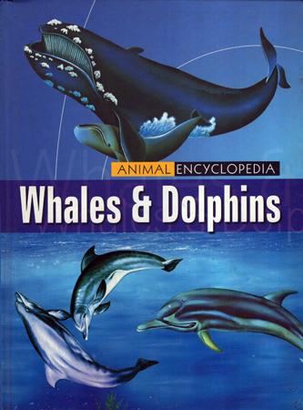 Whales & Dolphins