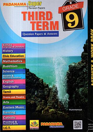 GRADE 9 THIRD TERM QUESTION PAPERS & ANSWERS