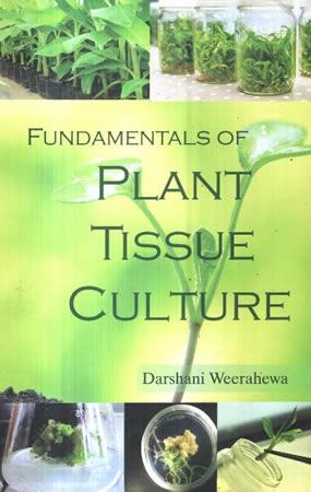 PLANT TISSUE CULTURE