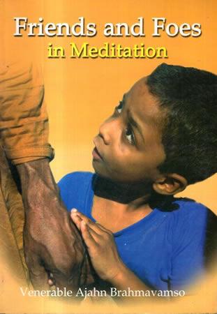 FRIENDS AND FOES IN MEDITATION