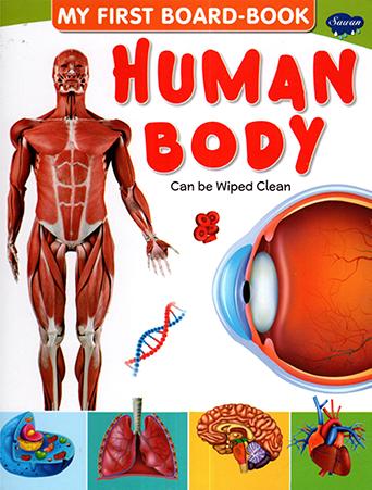MY FIRST BOARD BOOK HUMAN BODY
