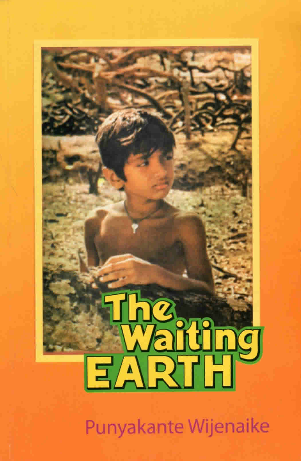 The Waiting Earth